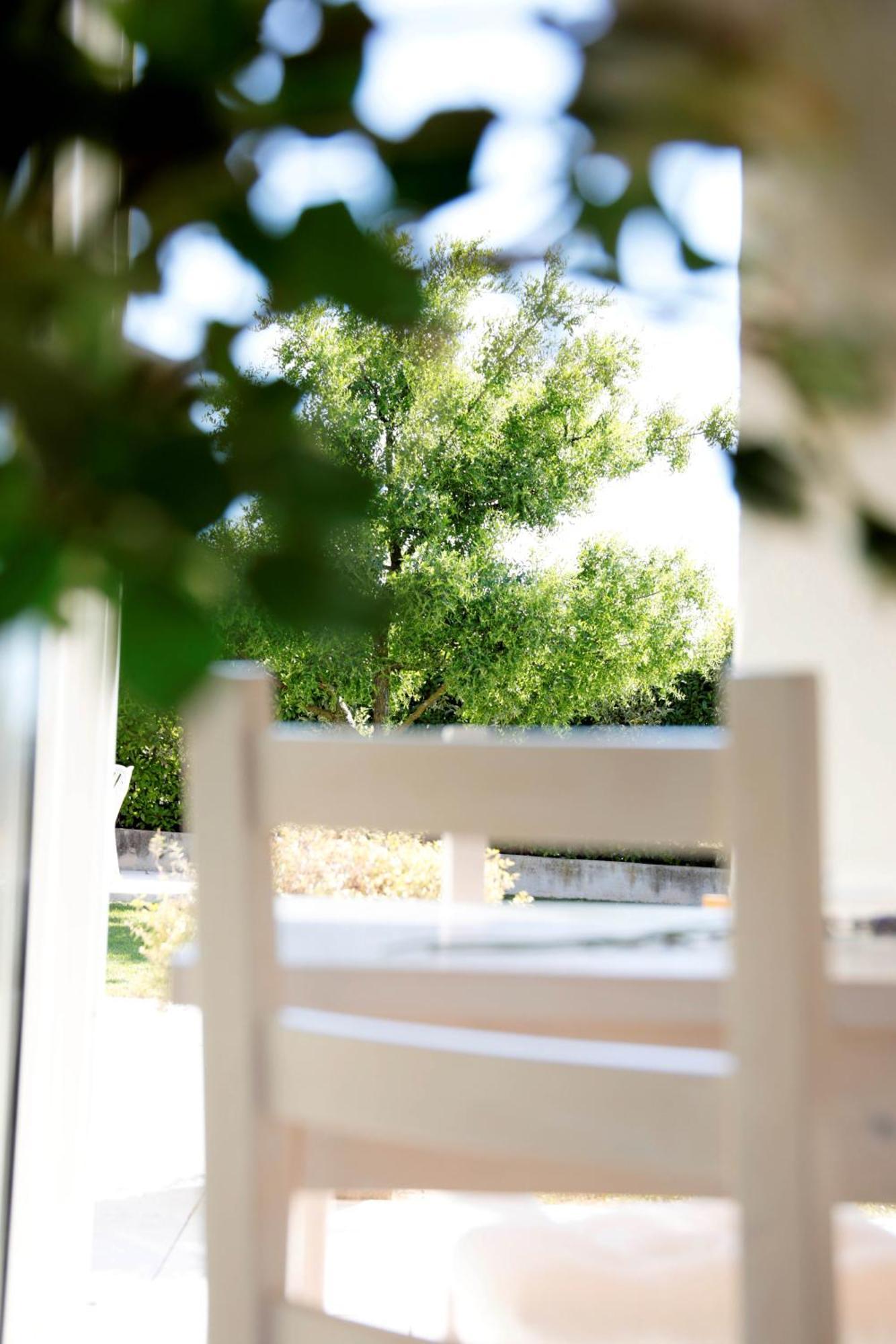 Residence Gonda&Giuliano Borso del Grappa Εξωτερικό φωτογραφία